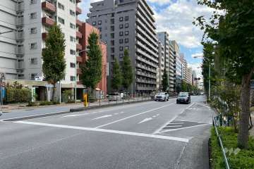 敷地の西側前面道路（北側から）