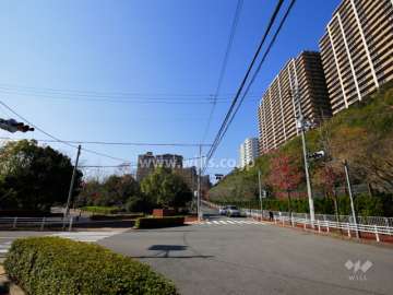 敷地南側の前面道路