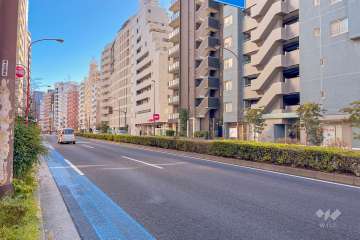 敷地北側の前面道路（西側から）