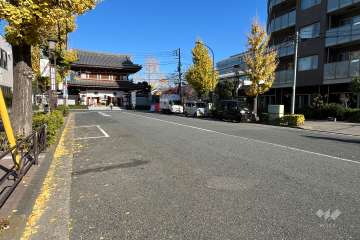 敷地の西側前面道路（南側から）