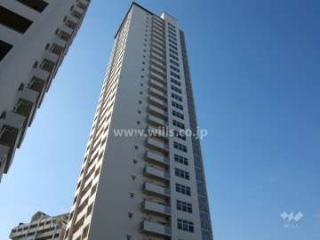 ＲＩＣイーストコート8番街1番館の外観（南東側から）