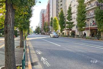 敷地東側の前面道路（北側から）