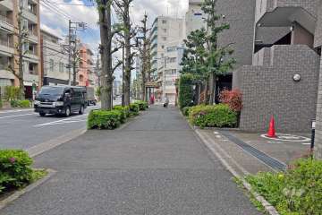 敷地の北東側前面道路は千川通りです（北西側から）。