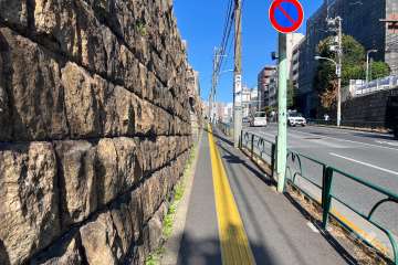 敷地南東側の前面道路（南西側から）