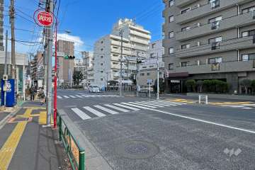 敷地の北西側前面道路は不忍通りです（南西側から）。