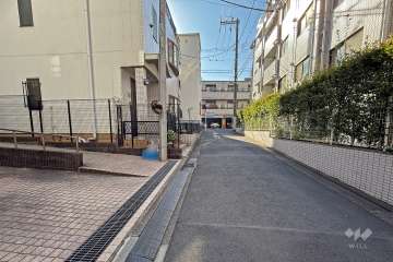 敷地の西側前面道路（北側から）