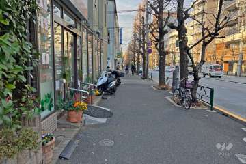 敷地の東側前面道路は都道455号（本郷通り）です（南側から）。