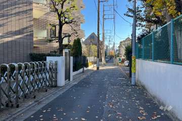 敷地の西側前面道路（北側から）