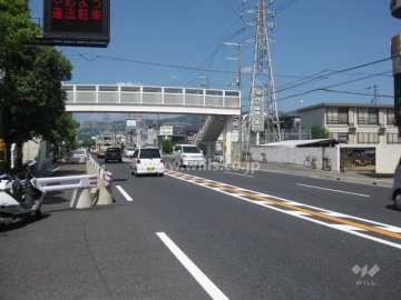 敷地北東側に県道42号線が通っています。