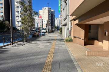 敷地の南西側前面道路（南東側から）