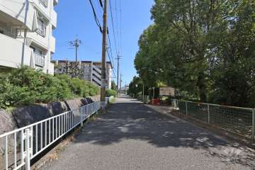 敷地西側の前面道路（北側から）