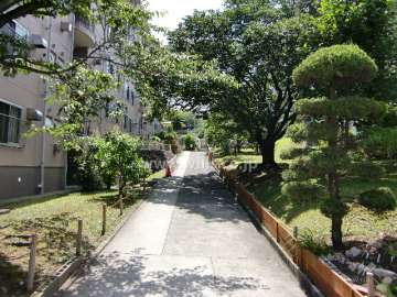 マンション北側の様子