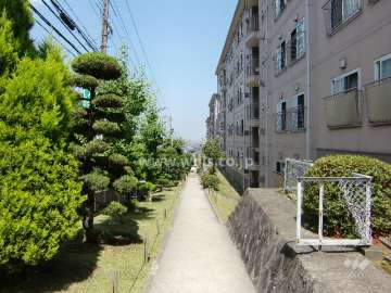 マンション北側の通路