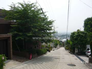 敷地西側の前面道路。周辺は第一種低層住居専用地域に指定された緑豊かで閑静な住宅地です。