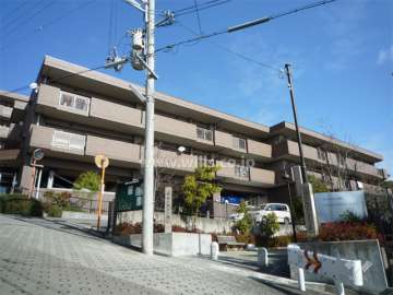 建物は低層3階建てです。