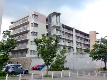 ルネサンクタスナシオンヒルズC棟の外観（東側から）