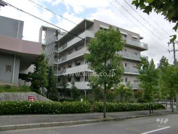 ルネサンクタスナシオンヒルズD1棟の外観（北側から）