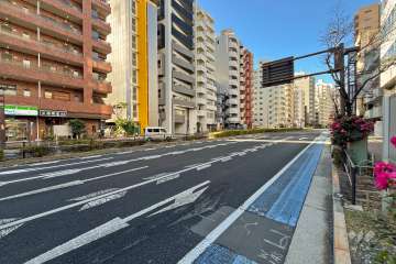敷地北側は国道254号（春日通り）に面しています。