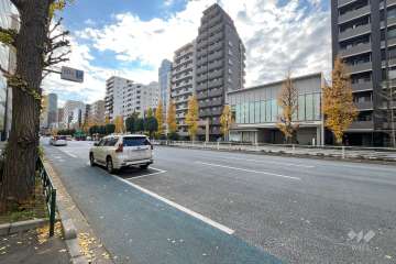 敷地東側の前面道路（北側から）