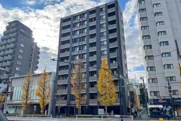 ジュイール文京白山の外観（北東側から）