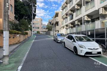 敷地の西側前面道路（南側から）