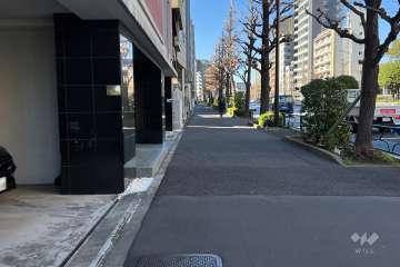 敷地の北東側前面道路（南東側から）