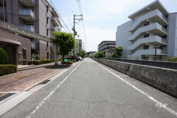 敷地西側の前面道路（北側から）