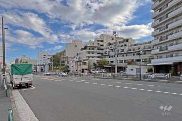 敷地の北側前面道路は不忍通りです（西側から）。『日本女子大学 目白キャンパス』に隣接しています。