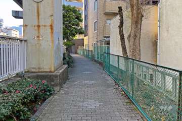 敷地の北側前面道路（西側から）
