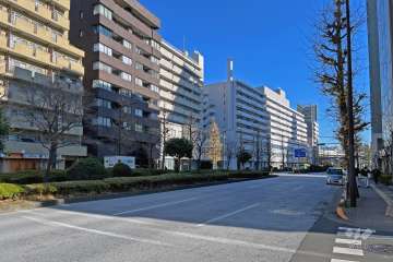 敷地の南側前面道路は新目白通りです（西側から）。