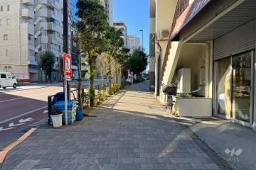 敷地南側の前面道路