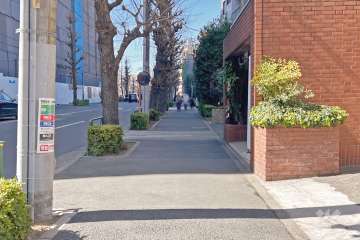 敷地南側の前面道路（東側から）