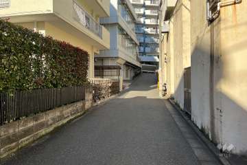 敷地の東側前面道路（南側から）