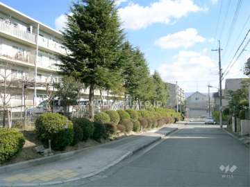 敷地の南側は一戸建てが立ちならんでいます
