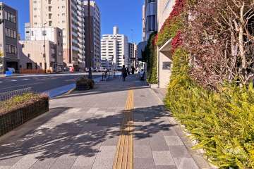 敷地南西側の前面道路（南東側から）