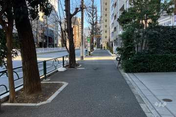 敷地の北東側前面道路（北西側から）