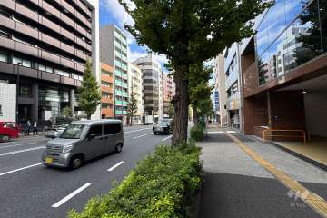 敷地の南側前面道路（西側から）