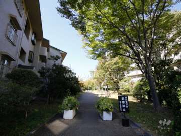 敷地内の通路と植栽スペース