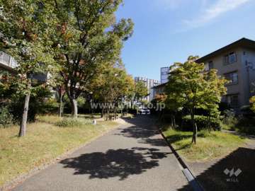 敷地内の通路と植栽スペース