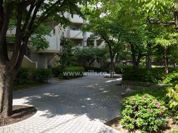 11号棟北側の敷地