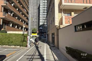 敷地の西側前面道路（南側から）