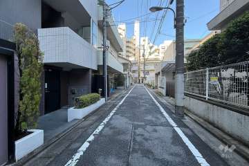 敷地の北東側前面道路（南東側から）
