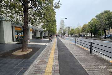 南東側前面道路（南西側から）