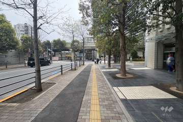 南東側前面道路（北東側から）