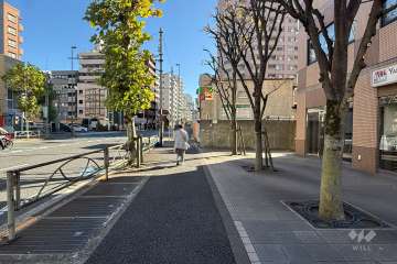 敷地の北東側前面道路（北西側から）