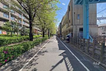 南西側前面道路（北西側から）