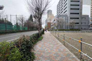 敷地南東側の前面道路（北東側から）