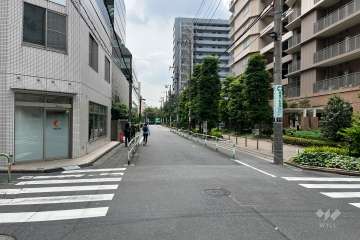 敷地の北東側前面道路（北西側から）