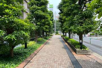 敷地内遊歩道