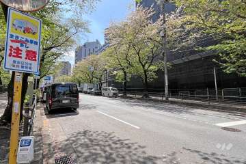 敷地東側の前面道路（北側から）